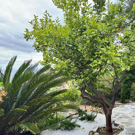 Villa Cielo Costarainera 외부 사진