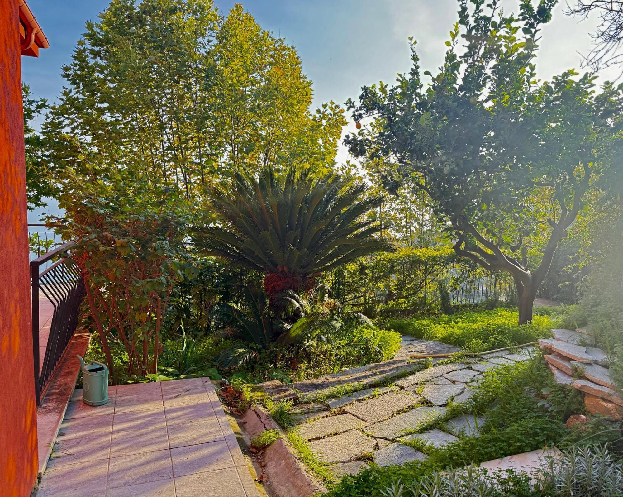 Villa Cielo Costarainera 외부 사진