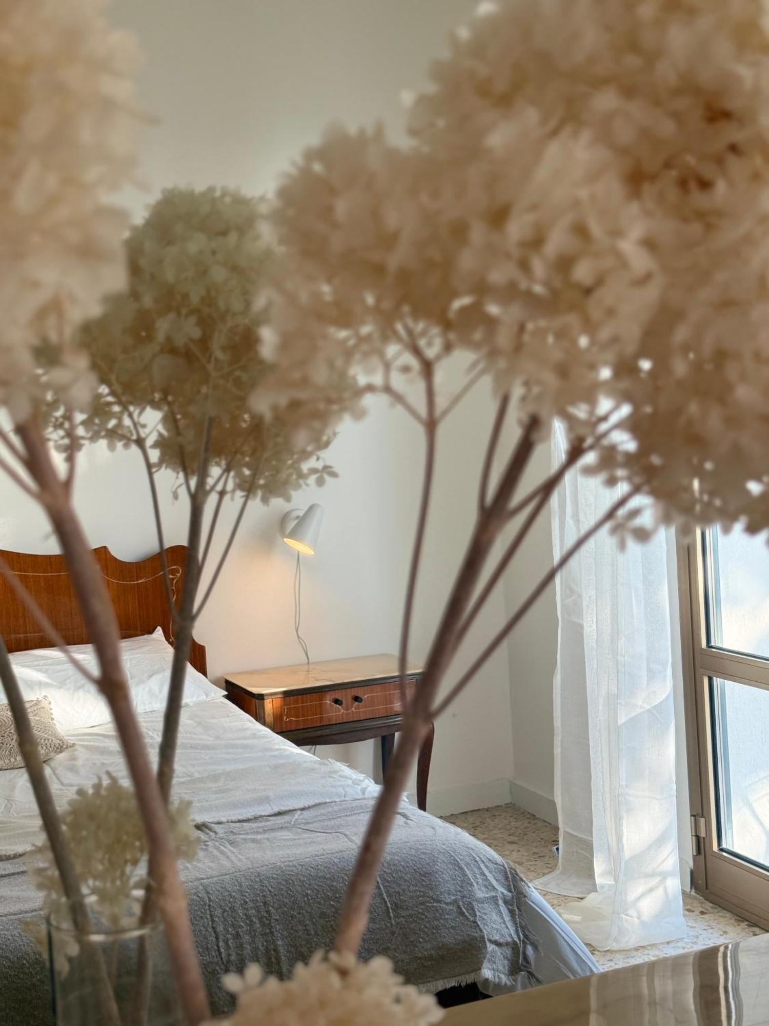 Villa Cielo Costarainera 외부 사진